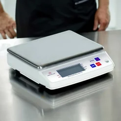 Balance électronique professionnelle 5 kg - LOUIS TELLIER