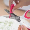 Ciseaux à Herbes 5 Lames - VERITABLE