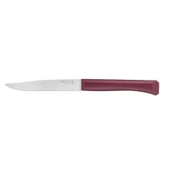 Coffret 4 couteaux de table Bon Appétit + Panachés GLAM - OPINEL