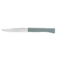 Coffret 4 couteaux de table Bon Appétit + Panachés GLAM - OPINEL