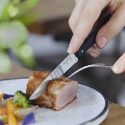 Coffret 4 couteaux de table Bon Appétit Pro - OPINEL
