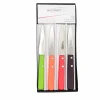 Coffret de 4 Couteaux d'Office Manche en Bois de Couleur - Au Sabot