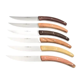 Coffret de 6 couteaux Styl'Ver Brasserie Bois Assortis - GOYON-CHAZEAU