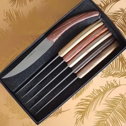 Coffret de 6 couteaux Styl'Ver Brasserie Bois Assortis - GOYON-CHAZEAU