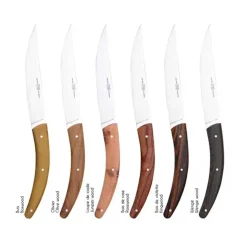 Coffret de 6 couteaux Styl'Ver Brasserie Bois Assortis - GOYON-CHAZEAU