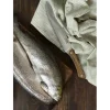 Couteau Marin Filet de Sole Gabriel - GOYON-CHAZEAU