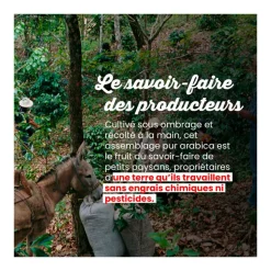 Dosettes de café Bio La Tierra - Machine EOH - MALONGO