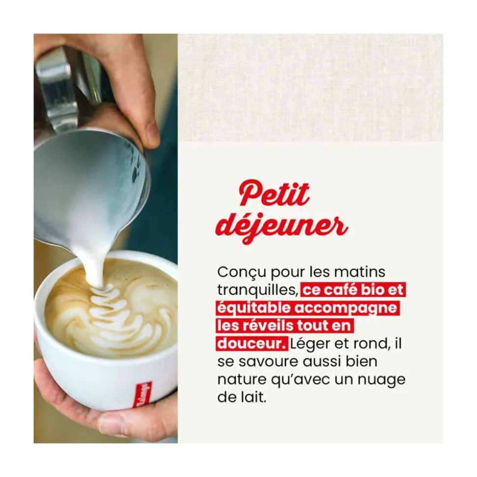 Dosettes de café Bio Purs Matins - Machine EOH - MALONGO