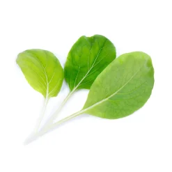 Lingot Pak Choï BIO - VERITABLE
