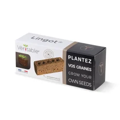 Lingot sans graines - VERITABLE
