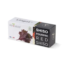 Lingot Shiso pourpre BIO - VERITABLE