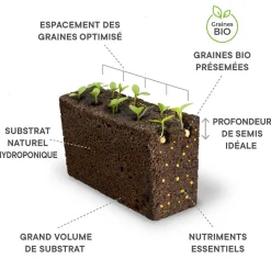 Lingot Shiso pourpre BIO - VERITABLE