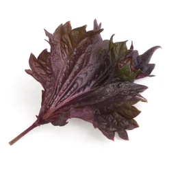 Lingot Shiso pourpre BIO - VERITABLE