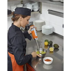 Mixeur plongeant professionnel DYNAMIX TRIO 160 - DYNAMIC
