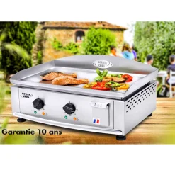 Plancha gaz 60 tout inox 2 brûleurs - ROLLER GRILL
