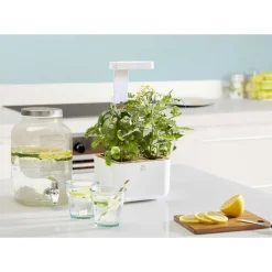 Potager d'intérieur Botaneo avec 2 lingots OFFERTS - VERITABLE