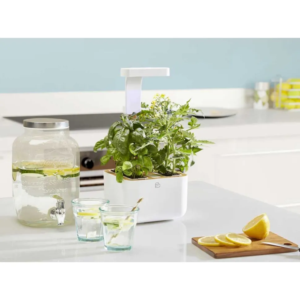 Potager d'intérieur Botaneo avec 2 lingots OFFERTS - VERITABLE