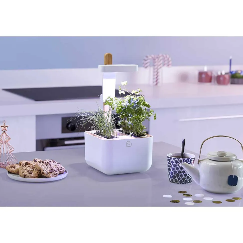 Potager d'intérieur Botaneo avec 2 lingots OFFERTS - VERITABLE