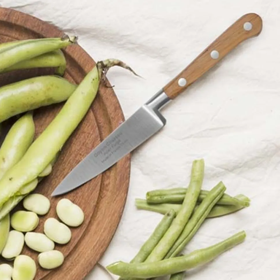 Set de 4 couteaux de cuisine Tradichef sur support magnétique - GOYON-CHAZEAU
