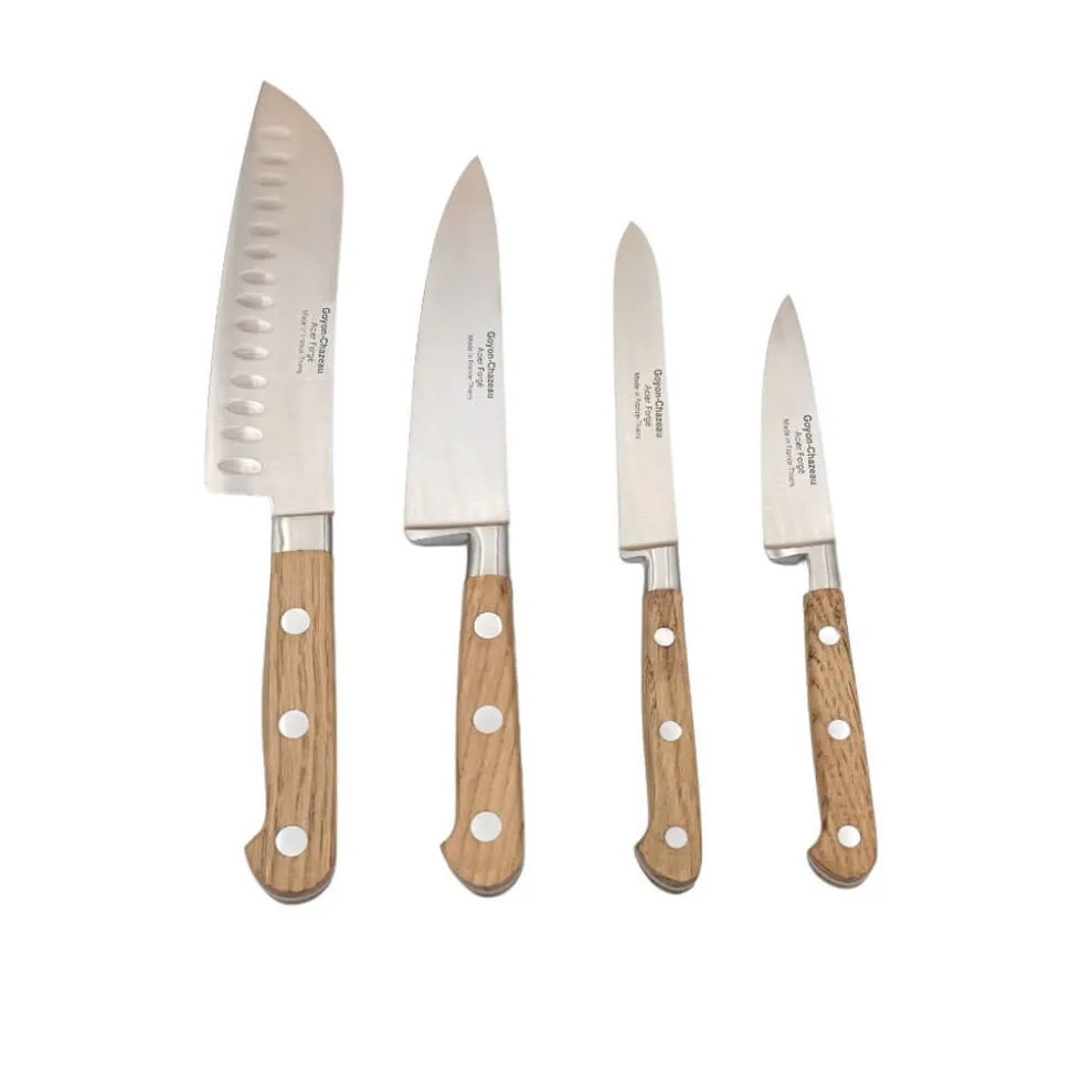 Set de 4 couteaux de cuisine Tradichef sur support magnétique - GOYON-CHAZEAU